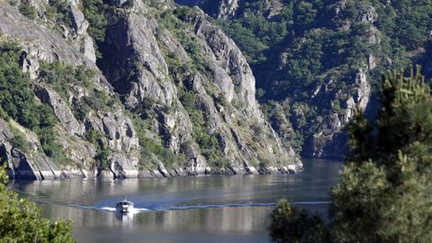 Un catamarn navega por el ro Sil.