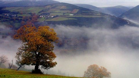Os Ancares conforman el sitema montaoso que conecta Lugo con Castilla. El dficil acceso a esta regin en el siglo XX sirvi para conservar el aspecto y las costumbres del lugar. Sus bosques sirven de hogar a una gran fauna, como lobos u osos pardos.