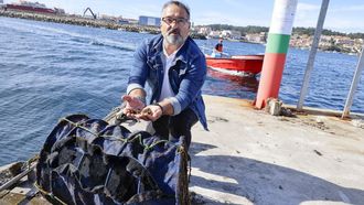 A Illa engorda su propia almeja