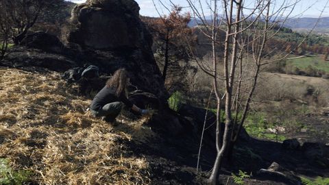 Alumnos de Vern y Xinzo participaron en la salida al monte.