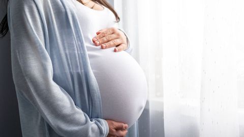 La exposici�n moderada al fr�o y al calor durante las primeras etapas del embarazo podr�a afectar al desarrollo fetal a partir del primer trimestre