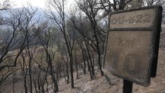 Incendios en Ourense