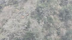 En la imagen, se ve a los miembros del GES (vestidos de naranja) descendiendo por la ladera. El perro, de color blanco, est� a su derecha