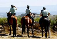 <span lang= es-es >Volver� el escuadr�n de caballer�a</span>. En las pr�ximas semanas llegar� a Ourense un escuadr�n de caballer�a, cuyos efectivos vigilar�n los montes en zonas a las que no se puede ir en coche. 