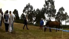 Momento en el que la Polic�a Local de Ares se dirige al hombre que irrumpi� en la prueba de BTT con su caballo