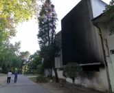 Las llamas afectaron tanto a la pared posterior como a los �rboles pr�ximos. 