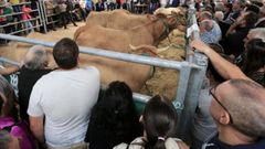 Imagen de archivo de una feria de ganado en Pedrafita