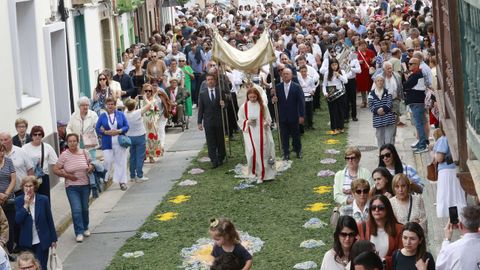 Alfombras flores de Ares