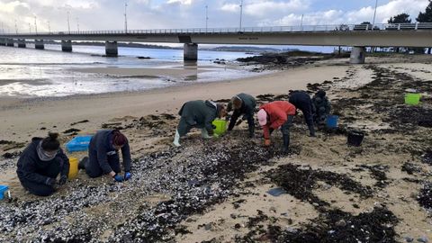 Mariscadoras intentando salvar marisco en O Castelete (Arousa).
