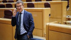 El presidente del PP, Alberto N��ez Feijoo, el pasado d�a 22, en el Senado