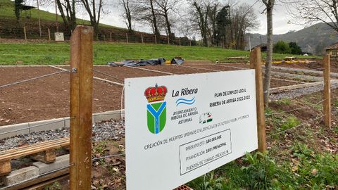 ZONA DONDE SE ESTÁN CONSTRUYENDO LOS 48 HUERTOS URBANOS-SOTO DE RIBERA