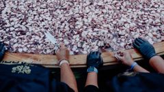 Los pulpeiros de O Carballi�o prepararon la tapa m�s grande del mundo