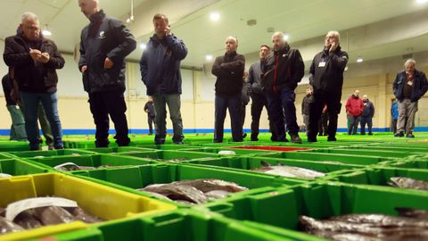 Tres volanteros vendieron merluza el 5 de marzo del 2026 en la lonja de Celeiro.