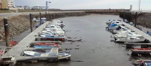 Imagen del puerto focense, donde tambi�n se precisan m�s amarres para barcos de recreo. 