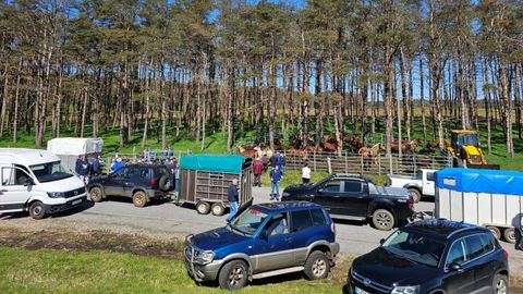 En Muras (en la imagen, una de las cargas que se realizaron el a�o pasado) los animales se concentran en el alto de A Ga�idoira, donde se celebra, desde hace a�os, la conocida Feira do Poldro
