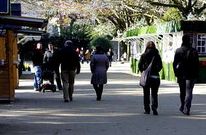 A mediod�a de ayer eran pocos los compostelanos que se acercaban a visitar las casetas.