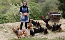 Eva Castro, en la finca de Redondela donde viven en libertad sus gallinas, que generan una peque�a producci�n de huevos. 