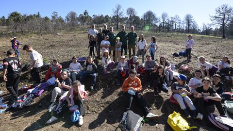 Alumnos del CEIP do Carballal, de Mar�n, participaron el curso pasado en la reforestaci�n del Monte Pituco a trav�s del programa Voz Natura