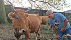 La vaca Gancholera con su dueo, Gernimo Gonzlez, el pasado 26 de diciembre, el da que desapareci.