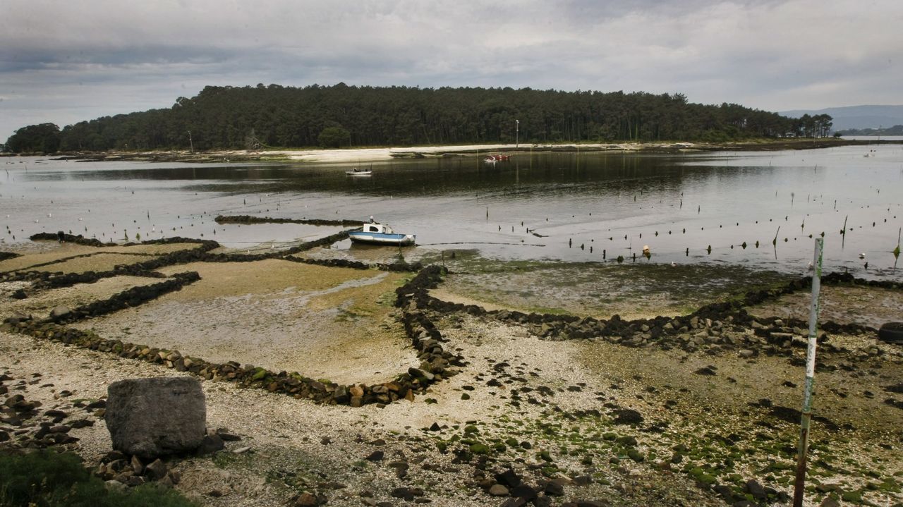 Cortegada, el ejemplo de crecimiento sostenible en el Parque Nacional Illas Atlánticas