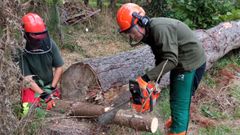 Un referente na FP agroforestal