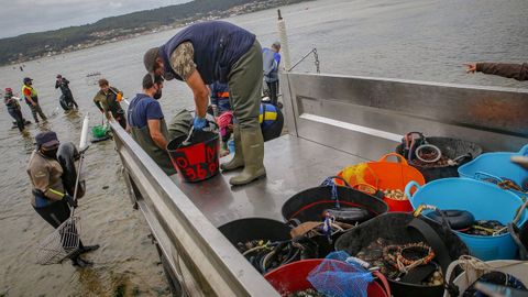 Inicio de la campa�a del marisco en Noia (imagen de archivo)