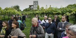 Los integrantes de la delegaci�n pudieron probar las uvas a pie del vi�edo y catar los vinos de Pazo Bai�n. 