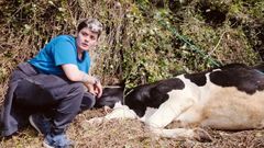 Saray Prado, vecina de una aldea cercana, con de las vacas que quedaron atrapadas en el barranco, ya sedada
