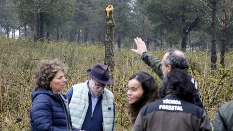 Luisa Pi�eiro, directora xeral de Planificaci�n e Ordenaci�n Forestal, visita una zona afectada por la banda marr�n en los pinos