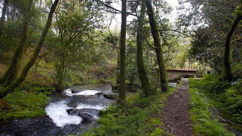 Paraje fluvial de la ruta da Pedra e da Auga en el concello pontevedrés de Meis