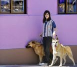 Seila, con Tella y Denko, que se llevan mal con los tres gatos, que observan desde la ventana. 