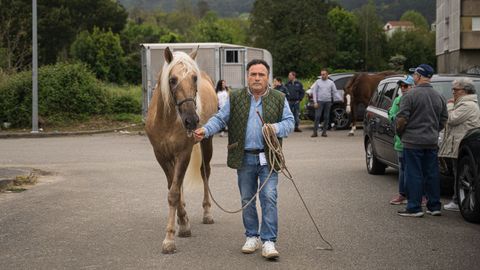 La Feira Cabalar de San Marcos, en imágenes