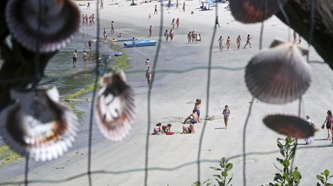 Playa de Aguete. Conchas de zamburias con inscripciones de loe turistas en O Rincn de Poty