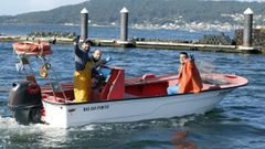 La campa�a marisquera arranca en Noia solo con capturas a flote
