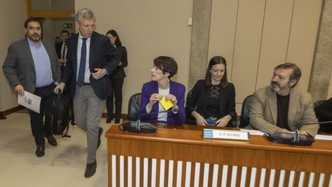 Constitucin de la diputacin permanente del Parlamento, en abril.