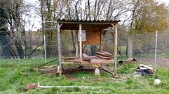 El corral (en la foto, a medio desmontar) est� en una finca de la parroquia monfortina de Distriz