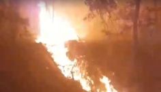 Este incendio provocado pudo ser una barbaridad, lleg a ncleos, advierte el alcalde de Crecente