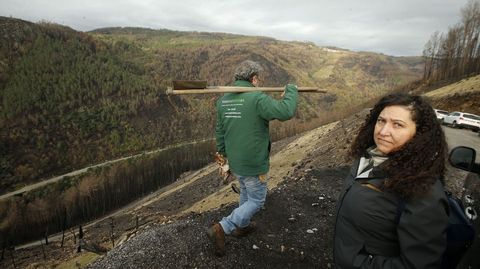 El trabajo de replantaci�n de este s�bado se centro en la margen izquierda de la desembocadura del Cabe, la que pertenece al municipio de Sober