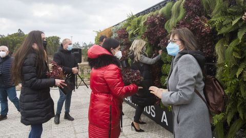 Inauguracin de un jardn vertical en Vimianzo