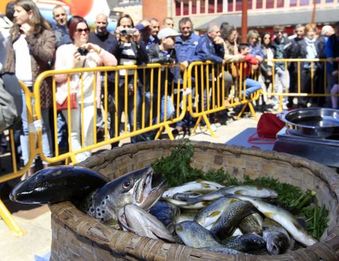 A Pontenova es un referente de la pesca fluvial