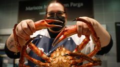 La centolla se puede comprar en las plazas entre 15 y 30 euros el kilos