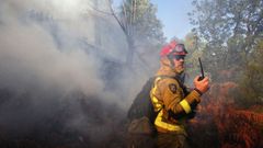 El fuego se inici� el pasado 15 de septiembre
