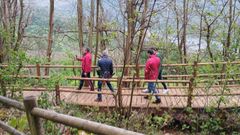 El consejero Alejandro Calvo en su visita al Parque de Redes.