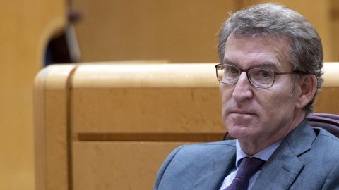 El presidente del PP, Alberto N��ez Feijoo.