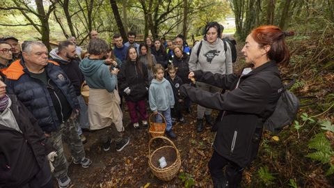 Xornada micolxica celebrada recentemente en Gabenlle, A Laracha
