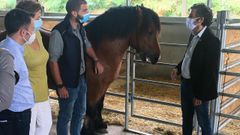De izquierda a derecha, Sergio Serrano, veterinario de Asincar; Carmen D�ez, jefa del departamento de Investigaci�n y Servicios Tecnol�gicos del Serida; Adri�n Lagar, presidente de Acgema, y el consejero de Medio Rural y Cohesi�n Territorial, Alejandro Calvo.