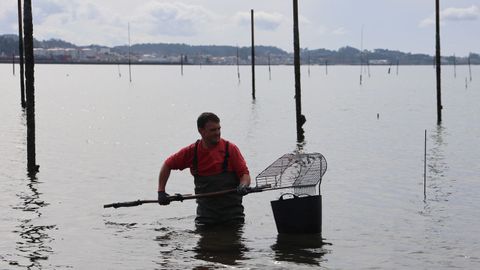Un parquista trabajando en su vivero tras los estragos del invierno.