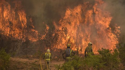 El incendio de A Fracha calcin unas 380 hectreas entre Ponte Caldelas y Pontevedra