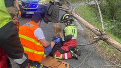 Una mujer result� herida al caerle un pino encima cuando caminaba por O Peliqu�n.