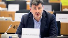 Nicol�s Gonz�lez, eurodiputado socialista.